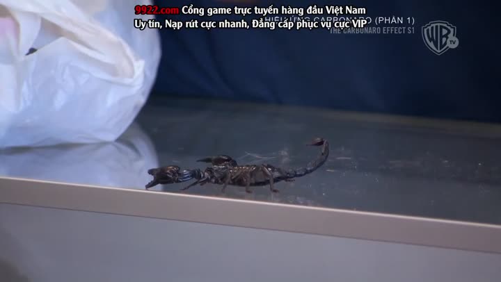 Tập 8 phim Hiệu Ứng Carbonaro (Phần 1)
