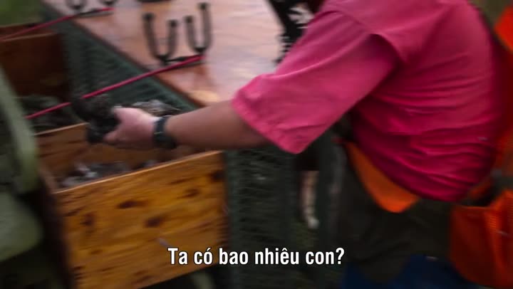 Tập 1 phim SEC Football: Bóng bầu dục Mỹ thứ Bảy