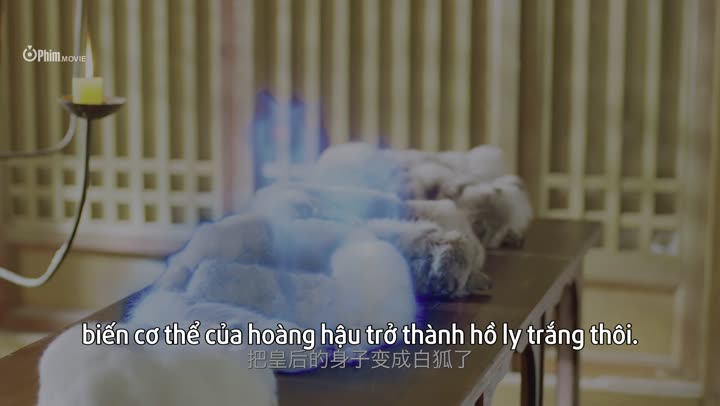 Tập 6 phim Hồ Yêu Hoàng Tẩu