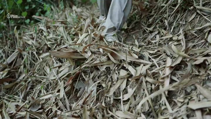 Tập 13 phim Tuyệt Cảnh: Lệnh Truy Nã