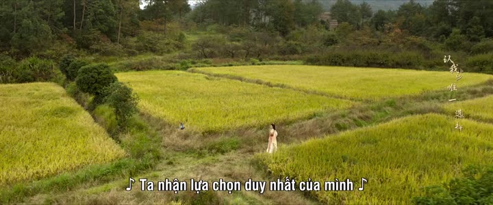 Hình ảnh tập 12 Giai Ngẫu Thiên Thành