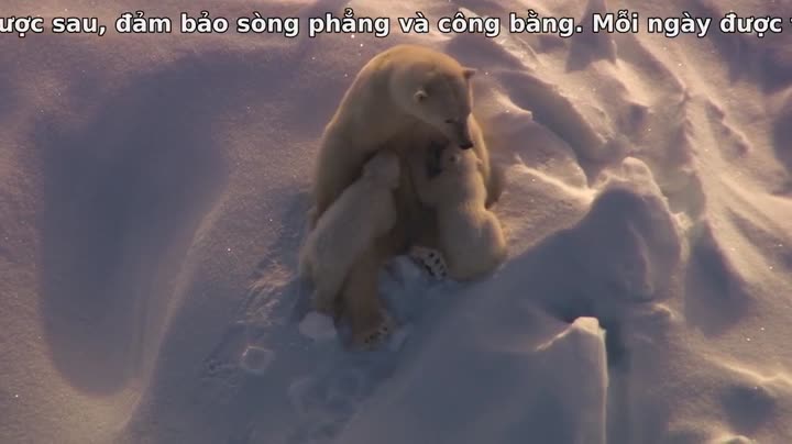 Tập 2 phim Hành Tinh Băng Giá