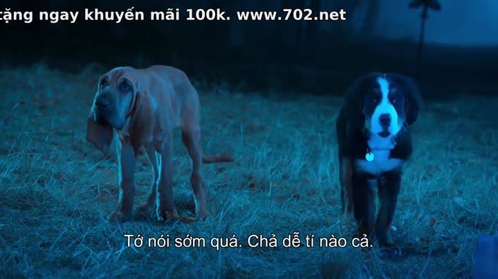 Hình ảnh tập 4 Super PupZ: Những chú cún siêu năng