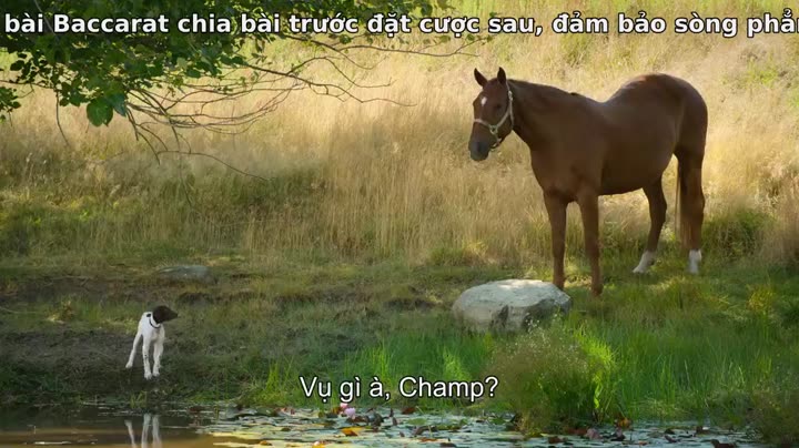 Tập 6 phim Super PupZ: Những chú cún siêu năng
