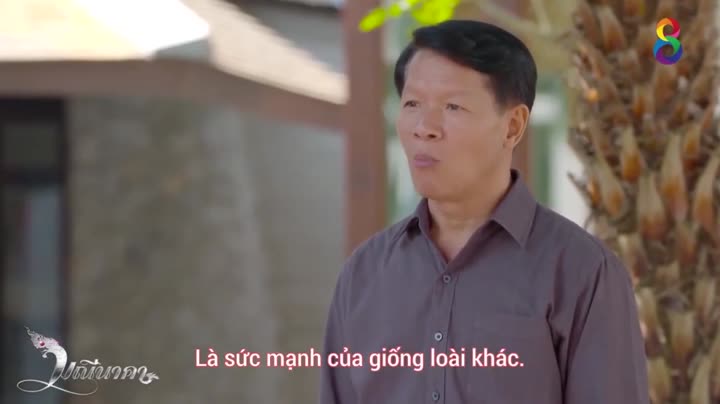Hình ảnh tập 13 Chuyện Tình Xà Nữ