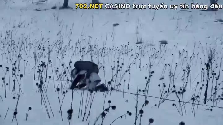 Hình ảnh tập 39 Đạo Mộ Bút Ký 2: Nộ Hải Tiềm Sa