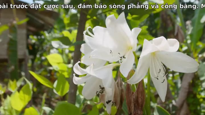 Hình ảnh tập 2 Câu chuyện của một thế hệ – với Giáo hoàng Francis