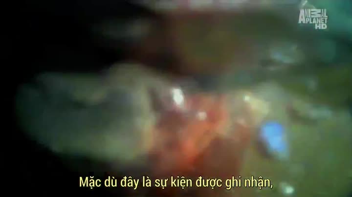 Tập 3 phim Thủy Quái (Phần 1)