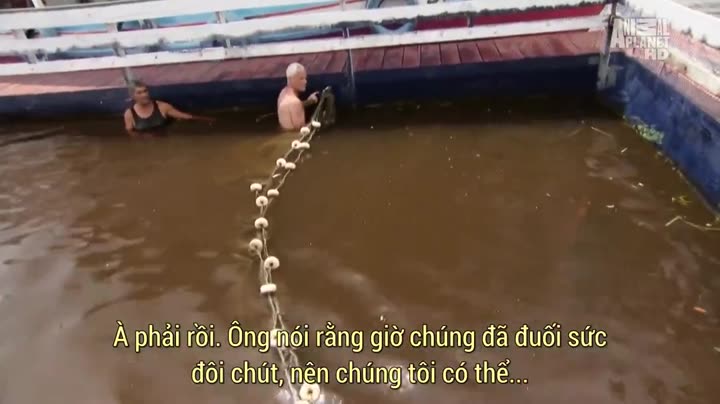 Tập 5 phim Thủy Quái (Phần 1)
