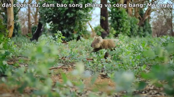 Hình ảnh tập 3 Động vật (Phần 1)