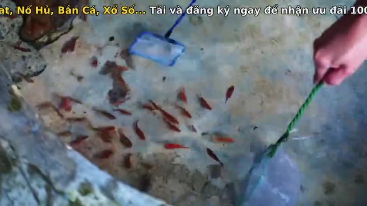 Hình ảnh tập 13 Nhân Chứng