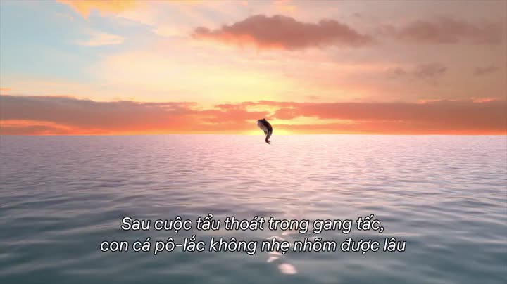 Hình ảnh tập 2 Đảo ấu trùng (Phần 2)