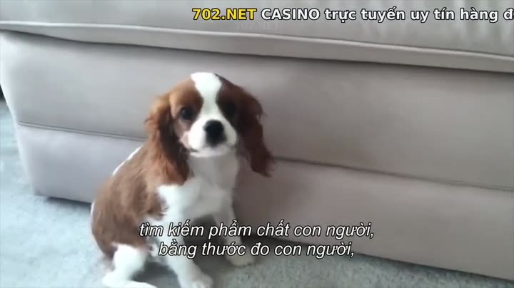 Hình ảnh tập 3 Giải mã (Phần 2)