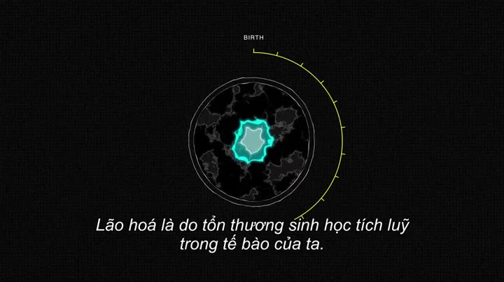 Tập 15 phim Giải mã (Phần 1)