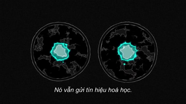 Hình ảnh tập 15 Giải mã (Phần 1)