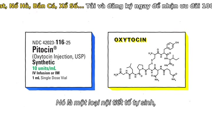 Tập 5 phim Giải mã tình dục