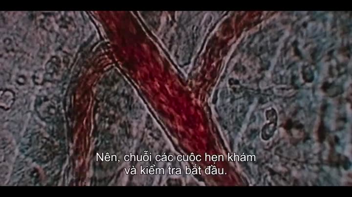 Tập 1 phim Elize Matsunaga: Tội ác ở Sao Paulo