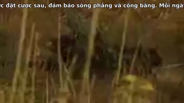 Hình ảnh tập 18 Quỷ Cốc Tử