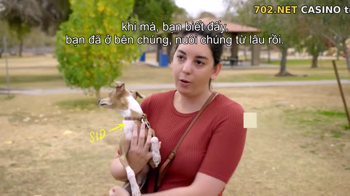 Tập 4 phim Giải mã (Phần 3)