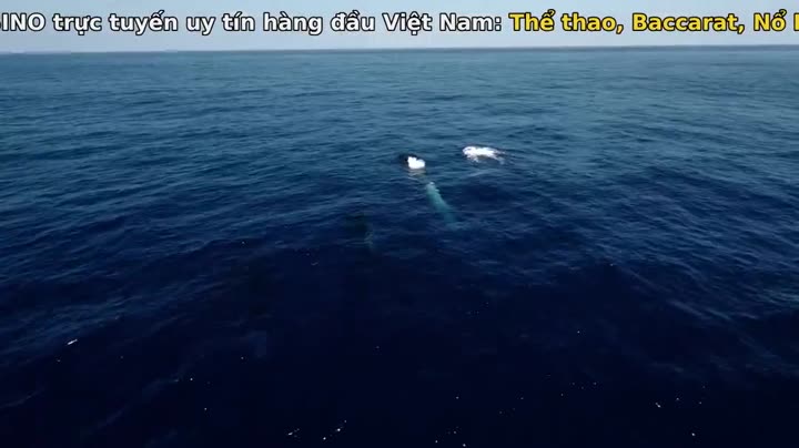 Tập 1 phim Câu chuyện kể bằng ánh sáng (Phần 1)