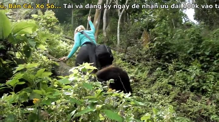 Hình ảnh tập 4 Câu chuyện kể bằng ánh sáng (Phần 1)