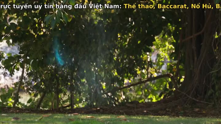 Tập 10 phim Kyra và thế giới phép thuật