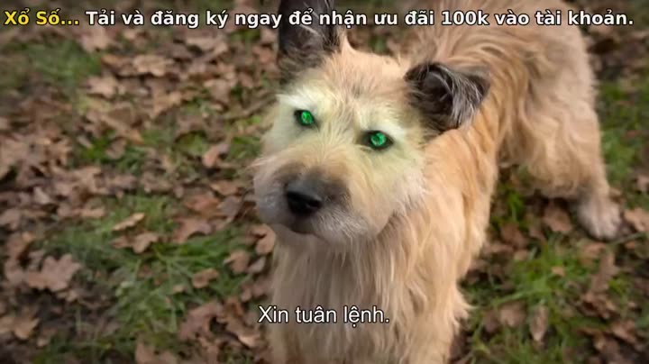 Tập 7 phim Mèo nhát