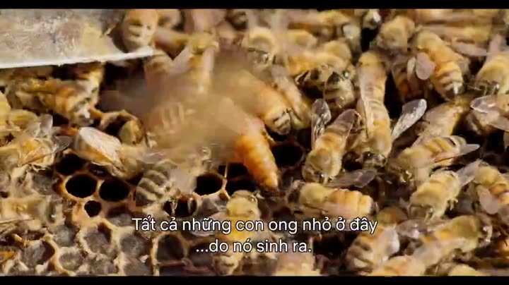 Hình ảnh tập 1 Mục ruỗng (Phần 1)