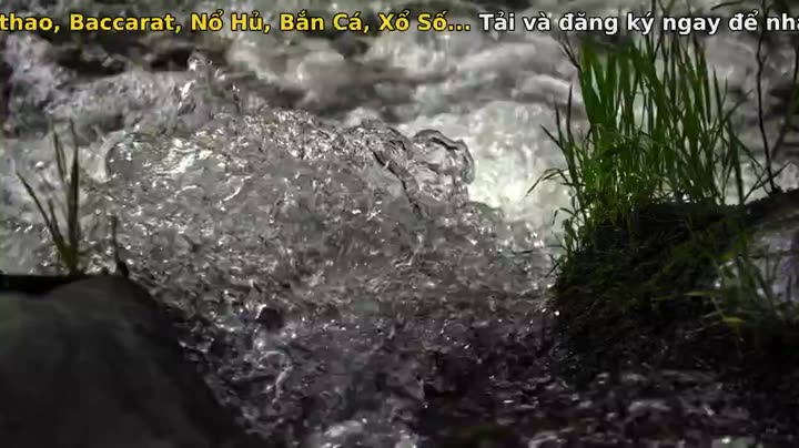 Tập 5 phim Nghệ thuật của tự nhiên (Phần 1)