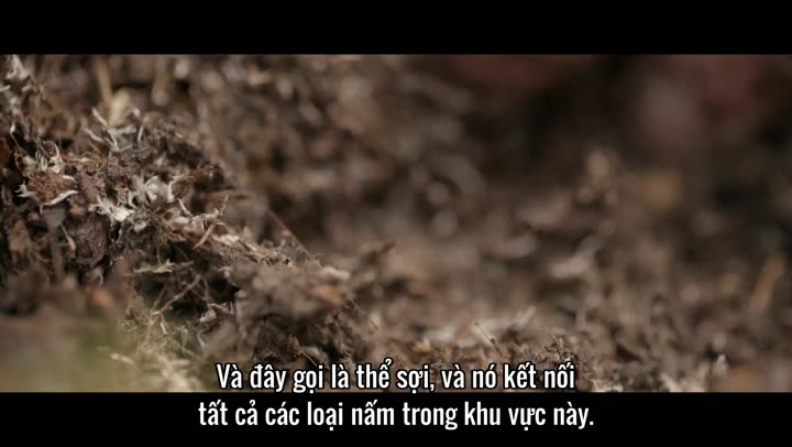 Hình ảnh tập 3 Những hành tinh khác