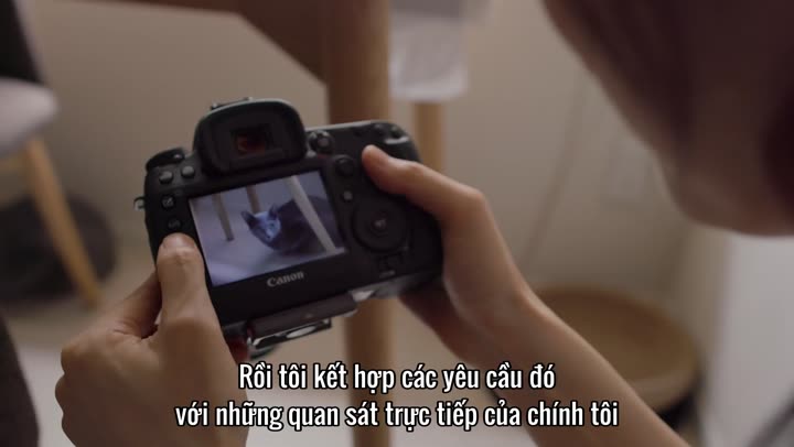 Tập 3 phim Những người yêu mèo