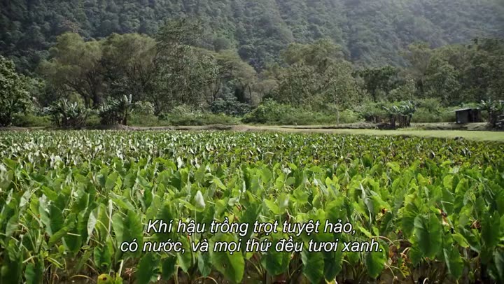 Tập 5 phim Tái khởi động nhà hàng trong mơ (Phần 2)