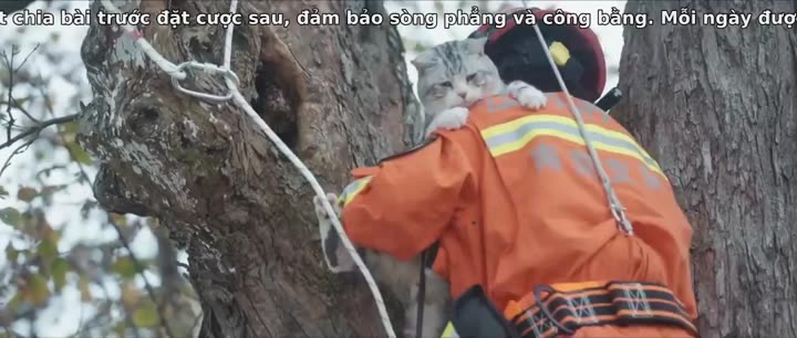 Hình ảnh tập 5 Xin Chào, Hỏa Diễm Lam