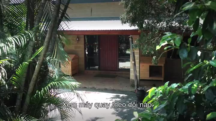 Hình ảnh tập 7 Thế giới gấu túi của Izzy (Phần 1)