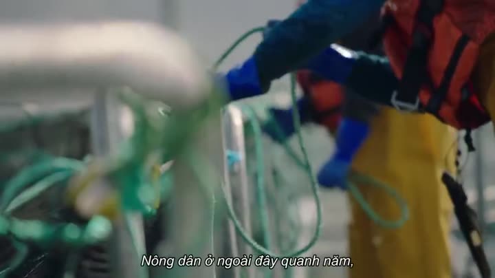 Hình ảnh tập 3 Vào bếp cùng Nadiya