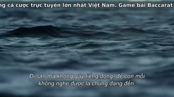 Tập 2 phim Hành tinh của chúng ta