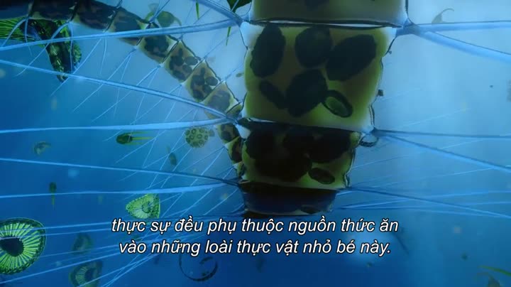 Tập 6 phim Hành tinh của chúng ta