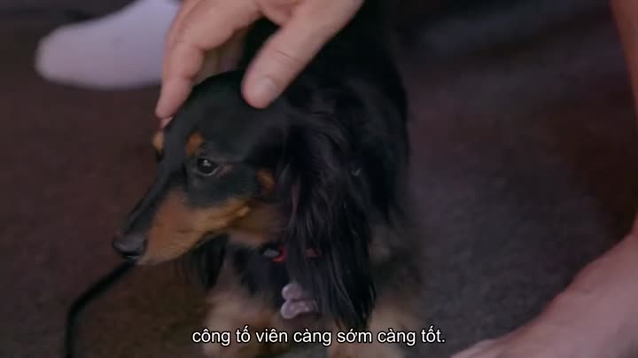 Tập 6 phim Cần tuyển chân dài: Mời gọi