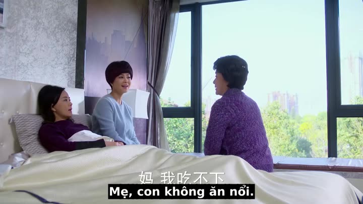 Tập 14 phim Vì Tình Yêu Nên Hạnh Phúc (2DVD)