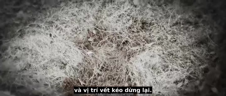 Tập 11 phim Phạm tội sư