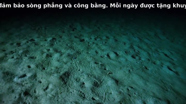 Tập 2 phim Đại Dương Sâu Thẳm 2
