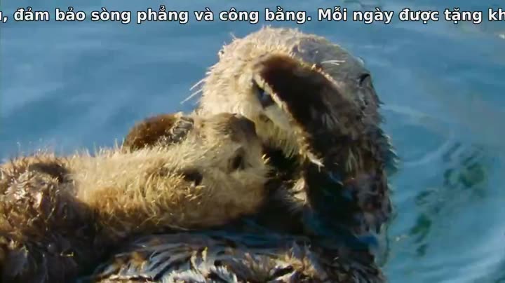 Tập 5 phim Đại Dương Sâu Thẳm 2
