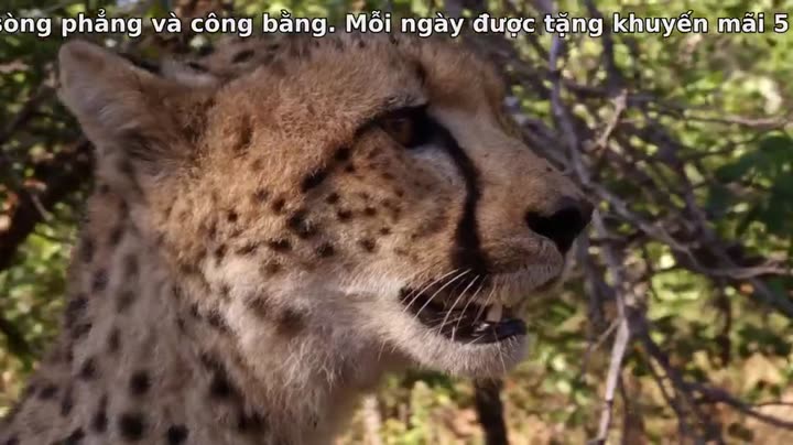Tập 2 phim Câu Chuyện Cuộc Sống