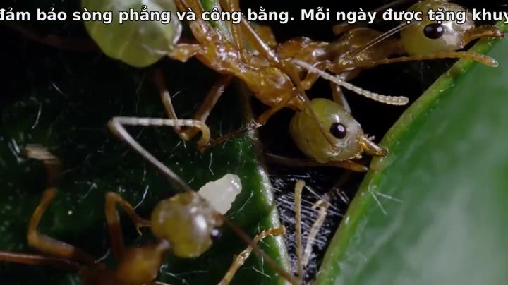 Tập 3 phim Câu Chuyện Cuộc Sống