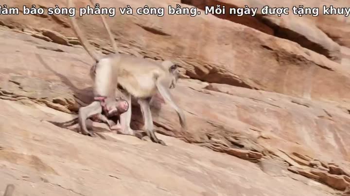 Tập 6 phim Câu Chuyện Cuộc Sống