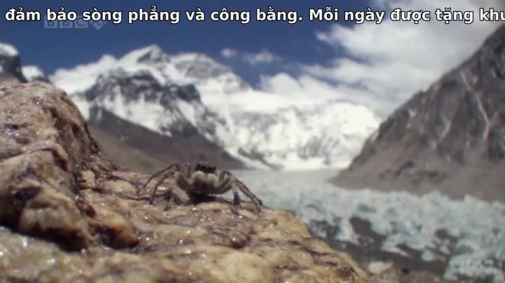 Tập 3 phim Thiên Nhiên Hoang Dã Trung Quốc