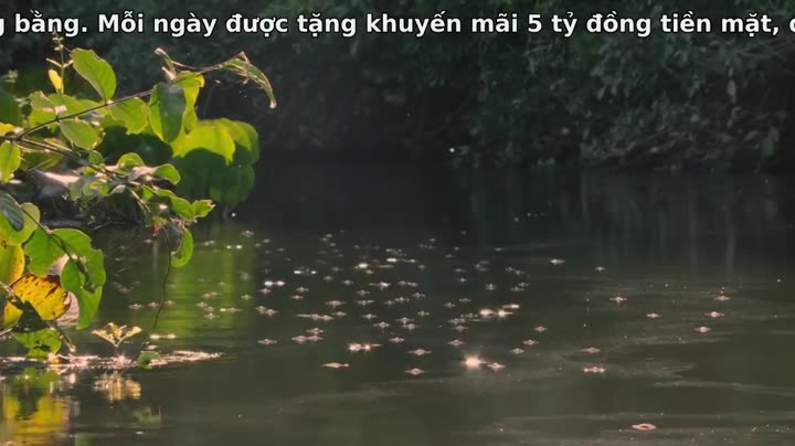 Tập 2 phim Thiên Nhiên Brazil Hoang Dã