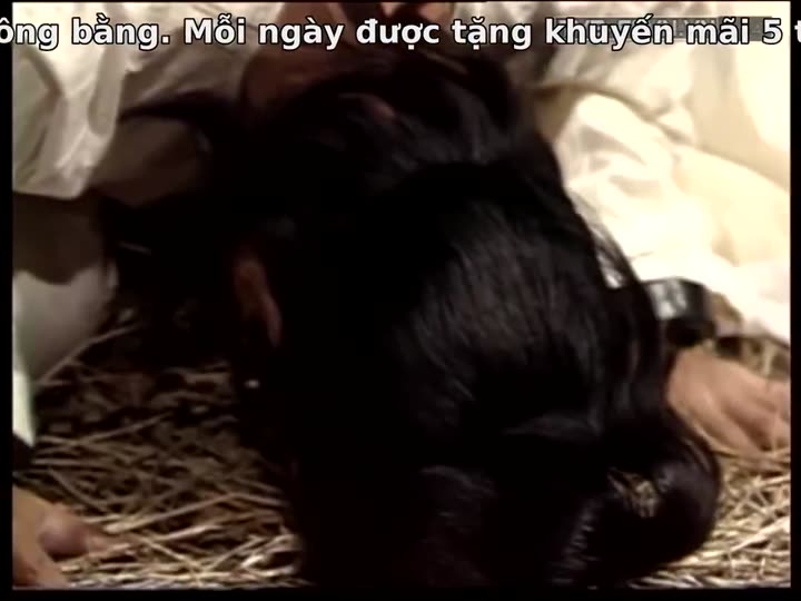 Hình ảnh tập 7 Bao Thanh Thiên 1993 (Phần 10)