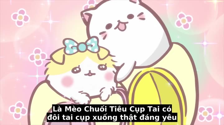 Tập 3 phim Mèo Chuối Tiêu Người Bạn Kì Diệu