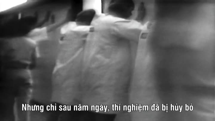 Tập 6 phim 1971: Năm Âm Nhạc Thay Đổi Tất Cả